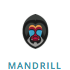 mandrill mandrill